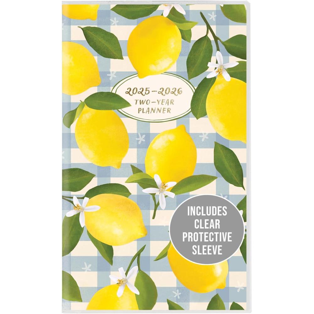 imageGraphique 2 Year Pocket Planner  29 Month Organizer Aug 2025  Dec 2027  Monthly Calendar ampamp Notes Spreads  Marked Holidays  Elegant Pattern  375 x 6quotOh So Chic