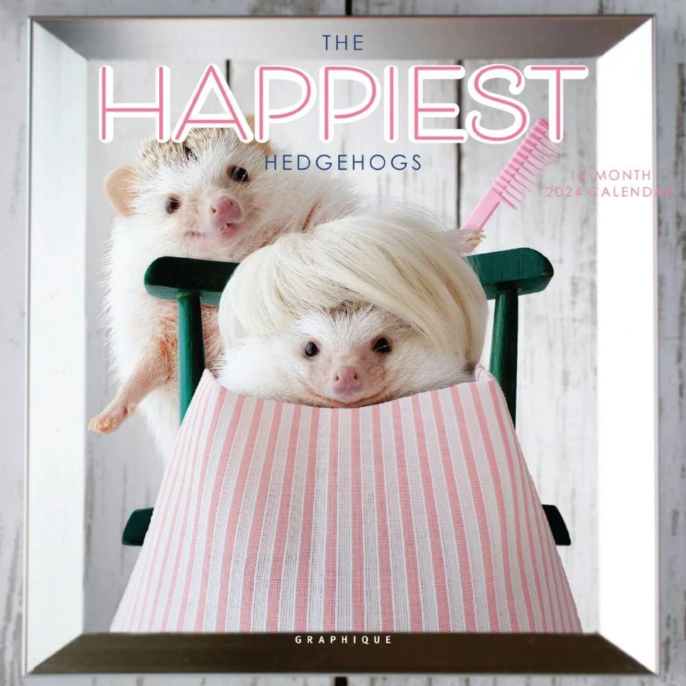 imageGraphique 2026 Happiest Hedgehogs Mini Wall Calendar  7 x 7  Thick Paper  Home ampamp Office Organizer  Large Monthly Grid  3 Languages ampamp Marked Holidays  4 Month Preview Page for 2027The Happiest Hedgehogs