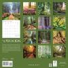Graphique 2026 Classic Cats Wall Calendar | 12” x 12” | Thick Paper | Home & Office Organizer | Large Monthly Grid | 3 Languages & Marked Holidays | 4 Month Preview Page for 2027(In to The Woods)