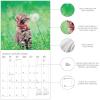 Graphique 2026 Classic Cats Wall Calendar | 12” x 12” | Thick Paper | Home & Office Organizer | Large Monthly Grid | 3 Languages & Marked Holidays | 4 Month Preview Page for 2027(Cute Kittens)