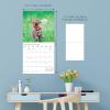 Graphique 2026 Classic Cats Wall Calendar | 12” x 12” | Thick Paper | Home & Office Organizer | Large Monthly Grid | 3 Languages & Marked Holidays | 4 Month Preview Page for 2027(Cute Kittens)