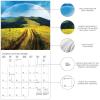 Graphique 2026 Classic Cats Wall Calendar | 12” x 12” | Thick Paper | Home & Office Organizer | Large Monthly Grid | 3 Languages & Marked Holidays | 4 Month Preview Page for 2027(Chasing Rainbows)