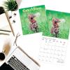 Graphique 2026 Classic Cats Wall Calendar | 12” x 12” | Thick Paper | Home & Office Organizer | Large Monthly Grid | 3 Languages & Marked Holidays | 4 Month Preview Page for 2027(Cute Kittens)