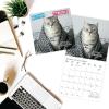 Graphique 2026 Classic Cats Wall Calendar | 12” x 12” | Thick Paper | Home & Office Organizer | Large Monthly Grid | 3 Languages & Marked Holidays | 4 Month Preview Page for 2027(Nuthin’ But Trouble)