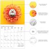 Graphique 2026 Classic Cats Wall Calendar | 12” x 12” | Thick Paper | Home & Office Organizer | Large Monthly Grid | 3 Languages & Marked Holidays | 4 Month Preview Page for 2027(Happiest Hedgehogs)