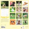 Graphique 2026 Classic Cats Wall Calendar | 12” x 12” | Thick Paper | Home & Office Organizer | Large Monthly Grid | 3 Languages & Marked Holidays | 4 Month Preview Page for 2027(Pupply Love)