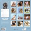 Graphique 2026 Classic Cats Wall Calendar | 12” x 12” | Thick Paper | Home & Office Organizer | Large Monthly Grid | 3 Languages & Marked Holidays | 4 Month Preview Page for 2027(Judging Dogs)