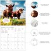 Graphique 2026 Classic Cats Wall Calendar | 12” x 12” | Thick Paper | Home & Office Organizer | Large Monthly Grid | 3 Languages & Marked Holidays | 4 Month Preview Page for 2027(On the Farm)