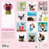 Graphique 2026 Classic Cats Wall Calendar | 12” x 12” | Thick Paper | Home & Office Organizer | Large Monthly Grid | 3 Languages & Marked Holidays | 4 Month Preview Page for 2027(Pawparazzi)