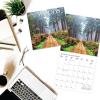 Graphique 2026 Classic Cats Wall Calendar | 12” x 12” | Thick Paper | Home & Office Organizer | Large Monthly Grid | 3 Languages & Marked Holidays | 4 Month Preview Page for 2027(In to The Woods)