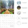 Graphique 2026 Classic Cats Wall Calendar | 12” x 12” | Thick Paper | Home & Office Organizer | Large Monthly Grid | 3 Languages & Marked Holidays | 4 Month Preview Page for 2027(In to The Woods)