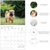 Graphique 2026 Classic Cats Wall Calendar | 12” x 12” | Thick Paper | Home & Office Organizer | Large Monthly Grid | 3 Languages & Marked Holidays | 4 Month Preview Page for 2027(Pupply Love)