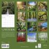 Graphique 2026 Classic Cats Wall Calendar | 12” x 12” | Thick Paper | Home & Office Organizer | Large Monthly Grid | 3 Languages & Marked Holidays | 4 Month Preview Page for 2027(Into the Woods)