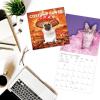 Graphique 2026 Classic Cats Wall Calendar | 12” x 12” | Thick Paper | Home & Office Organizer | Large Monthly Grid | 3 Languages & Marked Holidays | 4 Month Preview Page for 2027(Costume Pawty)