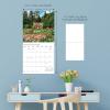 Graphique 2026 Classic Cats Wall Calendar | 12” x 12” | Thick Paper | Home & Office Organizer | Large Monthly Grid | 3 Languages & Marked Holidays | 4 Month Preview Page for 2027(In the Garden)