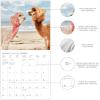 Graphique 2026 Classic Cats Wall Calendar | 12” x 12” | Thick Paper | Home & Office Organizer | Large Monthly Grid | 3 Languages & Marked Holidays | 4 Month Preview Page for 2027(Little Alpaca on the Prairie)