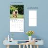 Graphique 2026 Classic Cats Wall Calendar | 12” x 12” | Thick Paper | Home & Office Organizer | Large Monthly Grid | 3 Languages & Marked Holidays | 4 Month Preview Page for 2027(Pupply Love)