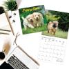 Graphique 2026 Classic Cats Wall Calendar | 12” x 12” | Thick Paper | Home & Office Organizer | Large Monthly Grid | 3 Languages & Marked Holidays | 4 Month Preview Page for 2027(Pupply Love)