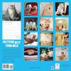 Graphique 2026 Classic Cats Wall Calendar | 12” x 12” | Thick Paper | Home & Office Organizer | Large Monthly Grid | 3 Languages & Marked Holidays | 4 Month Preview Page for 2027(Nuthin’ But Trouble)