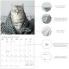 Graphique 2026 Classic Cats Wall Calendar | 12” x 12” | Thick Paper | Home & Office Organizer | Large Monthly Grid | 3 Languages & Marked Holidays | 4 Month Preview Page for 2027(Nuthin’ But Trouble)