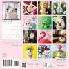 Graphique 2026 Happiest Hedgehogs Mini Wall Calendar | 7” x 7” | Thick Paper | Home & Office Organizer | Large Monthly Grid | 3 Languages & Marked Holidays | 4 Month Preview Page for 2027(The Happiest Hedgehogs)