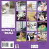 Graphique 2026 Happiest Hedgehogs Mini Wall Calendar | 7” x 7” | Thick Paper | Home & Office Organizer | Large Monthly Grid | 3 Languages & Marked Holidays | 4 Month Preview Page for 2027(Nuthin’ but Trouble)