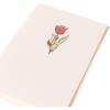 Graphique Seahorse La Petite Presse Boxed Notecards – 10 Embossed and Embellished Gold Foil Seahorse Blank Cards with Matching Envelopes, 3.25″” x 4.75″”” (L1329CB)(Tulip)
