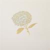 Graphique Seahorse La Petite Presse Boxed Notecards – 10 Embossed and Embellished Gold Foil Seahorse Blank Cards with Matching Envelopes, 3.25″” x 4.75″”” (L1329CB)(Boquet)