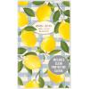 Graphique 2 Year Pocket Planner | 29 Month Organizer, Aug. 2025 – Dec. 2027 | Monthly Calendar & Notes Spreads | Marked Holidays | Elegant Pattern | 3.75” x 6″(Oh So Chic)