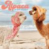 Graphique 2026 Classic Cats Wall Calendar | 12” x 12” | Thick Paper | Home & Office Organizer | Large Monthly Grid | 3 Languages & Marked Holidays | 4 Month Preview Page for 2027(Little Alpaca on the Prairie)