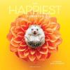Graphique 2026 Classic Cats Wall Calendar | 12” x 12” | Thick Paper | Home & Office Organizer | Large Monthly Grid | 3 Languages & Marked Holidays | 4 Month Preview Page for 2027(Happiest Hedgehogs)
