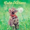 Graphique 2026 Classic Cats Wall Calendar | 12” x 12” | Thick Paper | Home & Office Organizer | Large Monthly Grid | 3 Languages & Marked Holidays | 4 Month Preview Page for 2027(Cute Kittens)