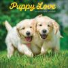 Pupply Love