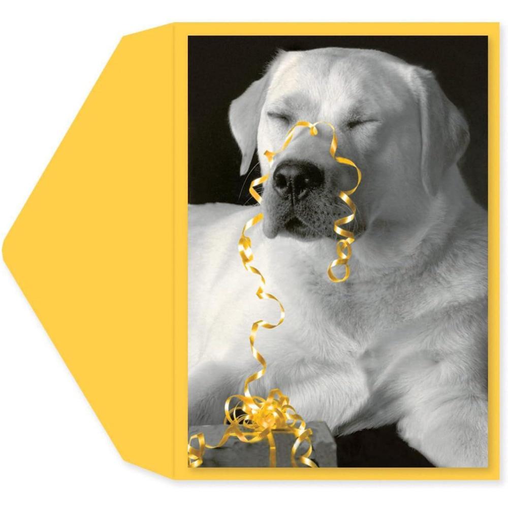 imageGraphique Surfs Up Birthday Card Friend Brother Father Him ColorCoordinated Envelope 5quot x 7quotAll Wrapped Up