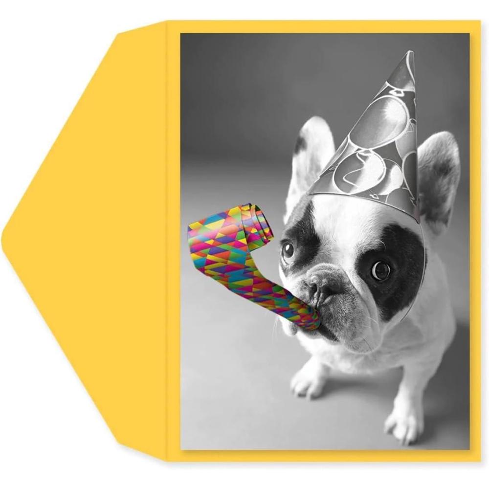 imageGraphique Surfs Up Birthday Card Friend Brother Father Him ColorCoordinated Envelope 5quot x 7quotParty Bulldog