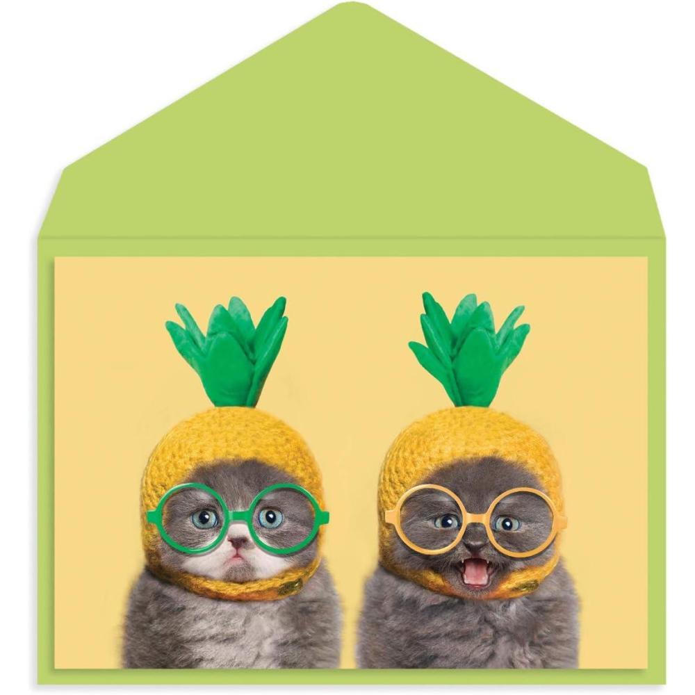 imageGraphique Surfs Up Birthday Card Friend Brother Father Him ColorCoordinated Envelope 5quot x 7quotPineapple Cats