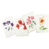 Graphique Birthday Assorted Cards | Pack of 20 Blank Cards with Envelopes | Family and Friends | 4 Assorted Designs with Holographic Foil Accents | Boxed Set for Personalized Notes | 4.25″ x 6″(Watercolor Floral)