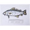 Handmade Birthday Card by Graphique, Cute & Happy Birthday Greeting, Her, Him, Cat Lovers, Party Cats, 5” x 7”(HBD Fish)