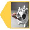 Graphique Surf’s Up Birthday Card, Friend, Brother, Father, Him, Color-Coordinated Envelope, 5″ x 7″(Party Bulldog)