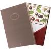 Hortensia Designer Cards by Graphique Luxe Collection, Silver Foil Embossed Stationary Boxed Set, 10 Blank Cards with 11 Envelopes, All Occasion Greetings, 5.25″ x 3.8″(Cerise)