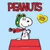 Graphique 2026 Peanuts Wall Calendar | 12” x 12” | Thick Paper | Home & Office Organizer | Large Monthly Grid | 3 Languages & Marked Holidays | 4 Month Preview Page for 2027(OLD 2024)