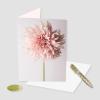 Graphique Pretty As a Flower | Blank Inside | Show Appreciation | Fashionable and Fun | Glitter Accents | Family and Friends | Color-Coordinated Envelope | 5″ x 7″ (Single Card)(Pretty As a Flower)