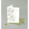 Graphique Cherry Blossom Sunset Sympathy Card, Condolence and Bereavement, Thinking of You, Grief and Loss, Family and Friends, Color-Coordinated Envelope, 5″ x 7″(Lilies)