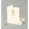 Graphique Cherry Blossom Sunset Sympathy Card, Condolence and Bereavement, Thinking of You, Grief and Loss, Family and Friends, Color-Coordinated Envelope, 5″ x 7″(Wildflowers)