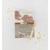 Graphique Cherry Blossom Sunset Sympathy Card, Condolence and Bereavement, Thinking of You, Grief and Loss, Family and Friends, Color-Coordinated Envelope, 5″ x 7″(Cherry Blossom)