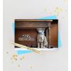 Graphique Balloon Get Well Card, Feel Better Soon, Recovery, Family and Friends, Color-Coordinated Envelope, 5″ x 7″(Cone Head Kitty)