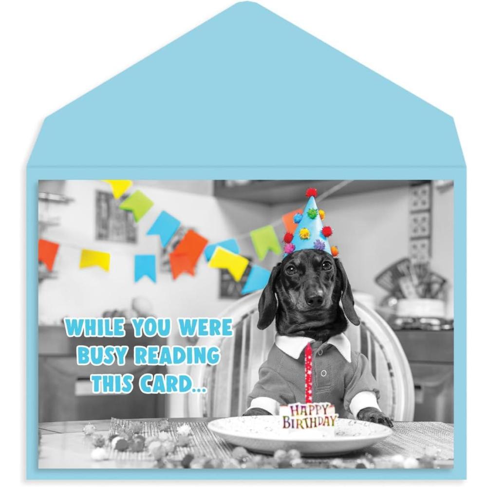 imageGraphique Party Cats Birthday Card Family and Friends ColorCoordinated Envelope 5quot x 7quotAte Your Cake