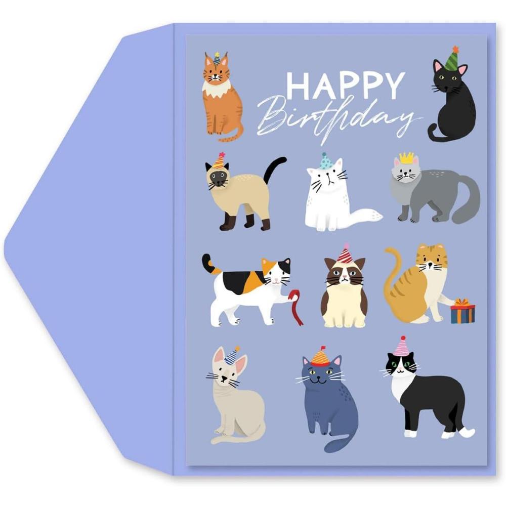imageGraphique Party Cats Birthday Card Family and Friends ColorCoordinated Envelope 5quot x 7quotParty Cats