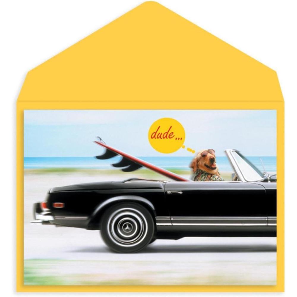 imageGraphique Party Cats Birthday Card Family and Friends ColorCoordinated Envelope 5quot x 7quotSurfs Up