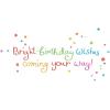Graphique Bicycle with Balloons Birthday Card | Family and Friends | Embellished with Gold Foil Accents | Color-Coordinated Envelope | 5″ x 7″(The Perfect Wish)